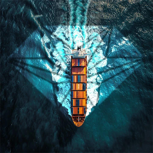 الشحن البحري، التخليص الجمركي، نقل البضائع والتخزين